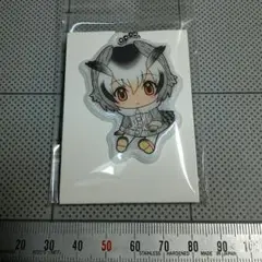 けものフレンズ もりのおんがくかい アクリルキーホルダー コンプリート けものフレンズ専用 TOKYO ATOM STORE