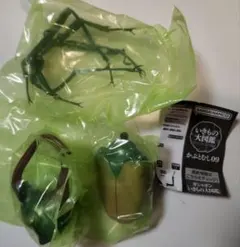 カブトハナムグリ（イエロー）　いきもの大図鑑　かぶとむし09