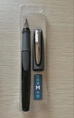 Schneider Ray M /シュナイダー レイM/万年筆/右利きのサムネイル