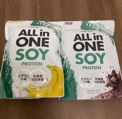アンビーク オールインワン ソイプロテイン チョコ バナナ