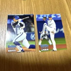 Item thumbnail for item 08ac1559-8159-4214-b375-17777927e3bc