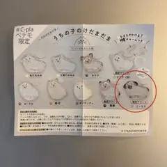 【最安値】うちの子のけだまだま　限定アソート　ミックス　シープラペテモ限定