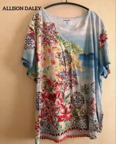 ALLISON DALEY Tシャツ 花柄 夏服 3X カラフル