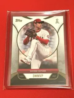 dihondahideki様 リクエスト 3点 まとめ商品