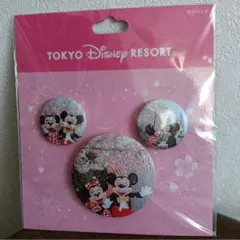 東京ディズニーリゾート 缶バッジ 3個セット Spring 2017
