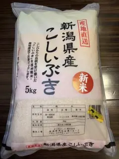精米済み10キロ【農家直送！】新潟県産こしいぶき 特別栽培米 7年産