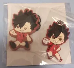 ハイキュー　黒尾鉄朗　ラバスト　2点