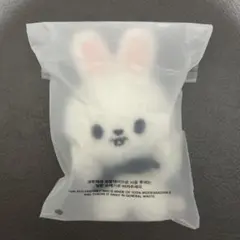 straykids スキズ ソウルコン マグネットキーリング Leebit リノ