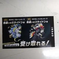 色違い　ミライドン　コライドン