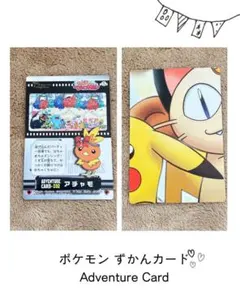 ポケモン　ずかんカード　アドベンチャーカード　セットC ポケモン ずかんカード アドベンチャーカード プラスル&マイナン