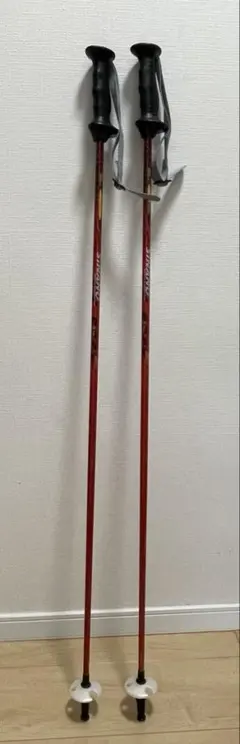 SINANO CX-FEST2 スキーポール 12.7mm 110cm