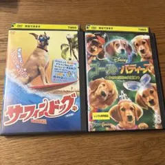 サーフィンドッグ & コースト・パーティーズ DVDセット