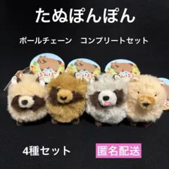 たぬぽんぽん LMC 全4種 ぬいぐるみ マスコット フルコンプ たぬき 狸