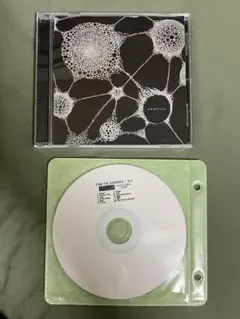 ZONE THE DARKNESS&RAW-T 合同LIVE CD 東京up ZONE THE DARKNESS&RAW-T 合同LIVE CD 東京up - メルカリ