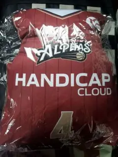 越谷アルファーズ　ジェフギブス選手　ユニフォームクッション