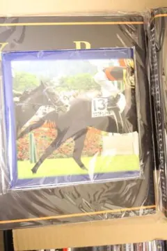 競馬 オルフェーヴル ハンドタオル(新品・未使用) 競馬 オルフェーヴル ハンドタオル(新品・未使用) 2025年最新