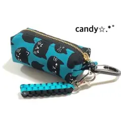 ゴルフボールケース ミニティーホルダー付き✩.*˚黒ねこNo.3(グリーン)