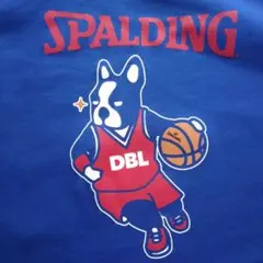 SPALDING basketball junky ロングTシャツsize M