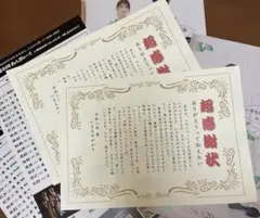 【ファン必見】超いきものがかりフェス 20周年記念入場者限定配布物 超感謝状2枚