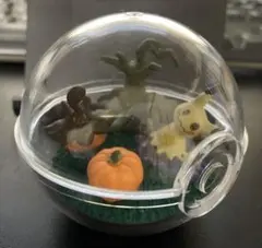 ポケモン テラリウムコレクション めぐる季節の中で ミミッキュ&バケッチャ
