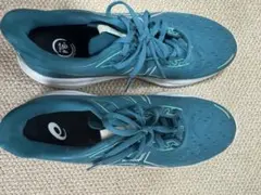 ASICS ランニングシューズ 青