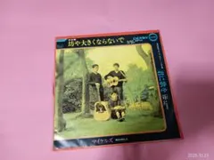 サ31　マイケルズ　/ 坊や大きくならないで　　EP盤レコード