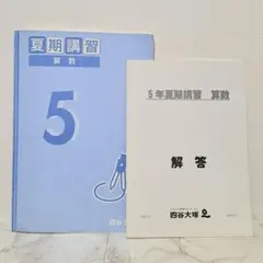 2025年最新】四谷大塚 夏期講習 5年の人気アイテム - メルカリ