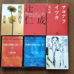 【6冊セット】辻仁成：クロエとエンゾー／サヨナライツカ／冷静と情熱の間に　他