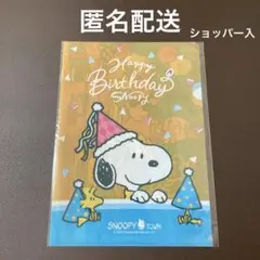 2025年最新】スヌーピータウンファイルの人気アイテム - メルカリ
