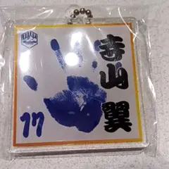 モンテディオ山形 寺山翼