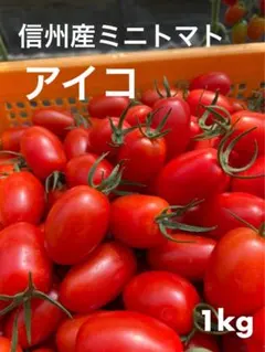 信州産 ミニトマト アイコ 1kgのサムネイル