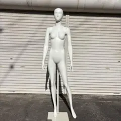 パールイデア パール マネキン 全身 トルソー レディース