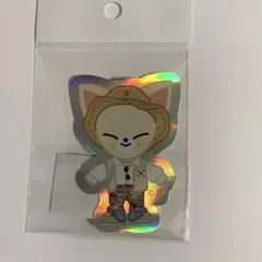 straykids skzoo アイエン フォクシニー　ダイカットステッカー
