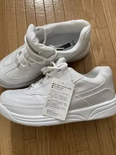 Item thumbnail for item 659d4fce-532a-431f-9946-773e94d2ec6c