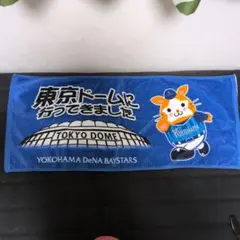 YOKOHAMA　DeNA BAYSTARS　フェイスタオル　東京ドームのサムネイル