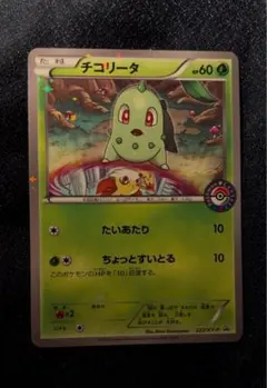 チコリータ プロモ 222/XY-P