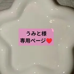 うみと様専用ページ♥