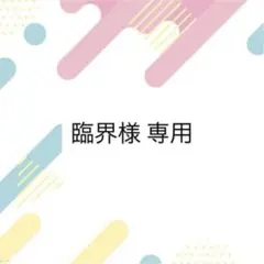 臨界様専用　4/18