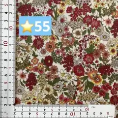 ⭐️55ラミネート生地1メートル