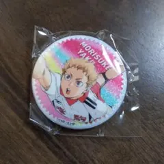ハイキュー ラメグリッター 缶バッジ