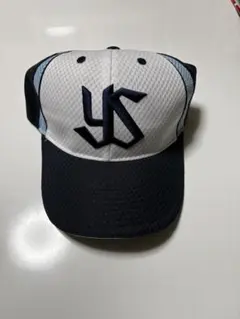 2026年最新】ヤクルトスワローズ2020キャップの人気アイテム - メルカリ