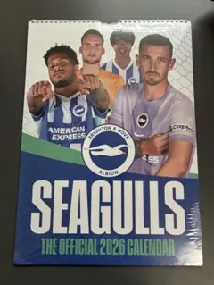 Brighton & Hove Albion 2026年カレンダーのサムネイル