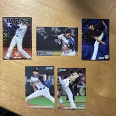 翔平プロ プロ 野球 チップス 大谷 プロ野球チップス大谷翔平赤箔