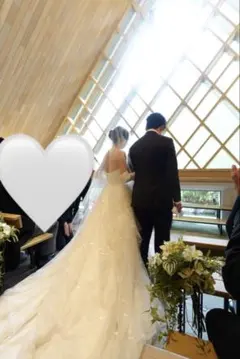 TREAT DRESSING ベール　80×120