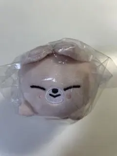 2025年最新】バッグチャーム skzooの人気アイテム - メルカリ