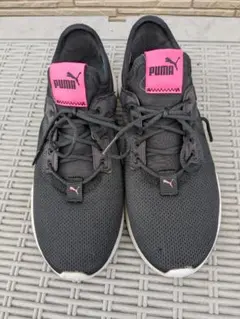 Item thumbnail for item a59214d1-886b-4978-8f70-80fba8af89eb