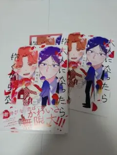 Asami Matsuo様専用　 大人になったら抱くからな