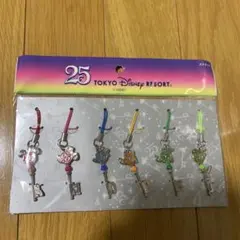 東京ディズニーリゾート 25周年記念 ストラップ 6個セット