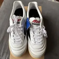 モレリア in 24.5