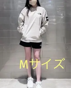 THE NORTH FACE ALBANY CREWNECK 長袖